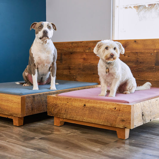 Avocado Dog Bed Frame S/M