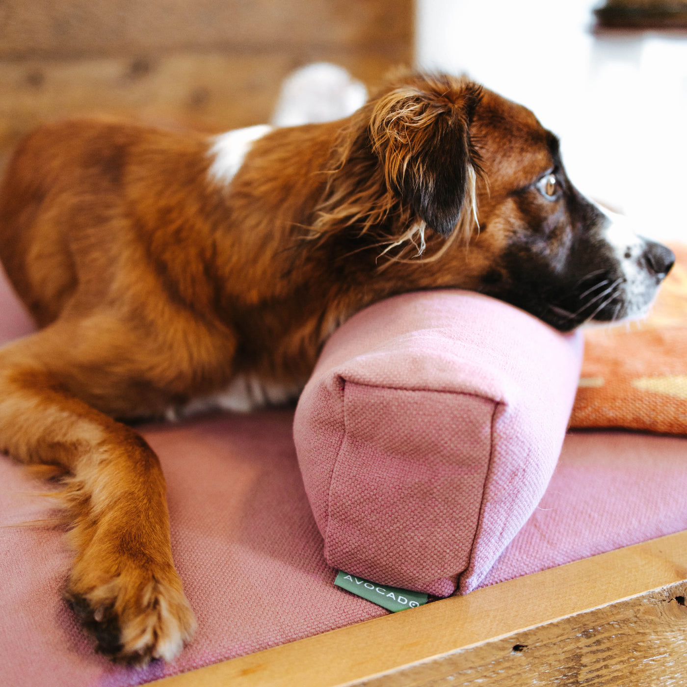 Avocado Organic Dog Pillow Bolster